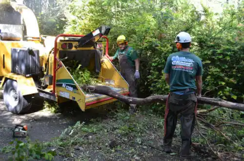 tree services Herington